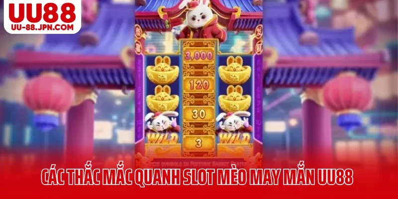 Các thắc mắc quanh slot mèo may mắn UU88 Các thắc mắc quanh slot mèo may mắn UU88